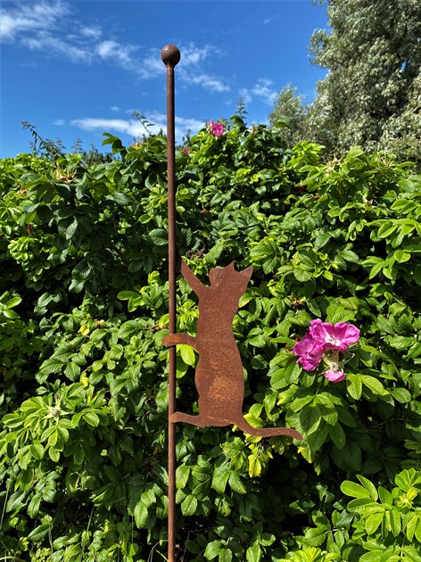 Klättrande katt på delbar pinne